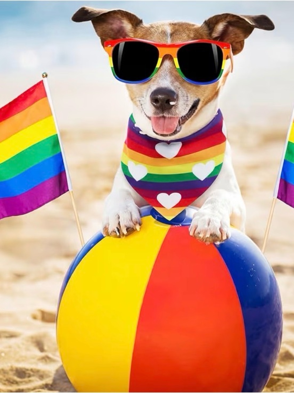 New LGBT PRIDE Rainbow Heart Pet Bandana Scarf Multicolor MANY STYLES AVAILABLE